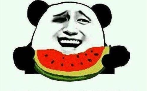 一个娱乐圈吃瓜群众的